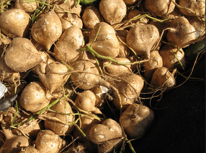 Cómo preparar botana tan deliciosas como saludables